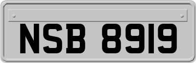 NSB8919