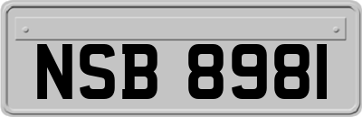 NSB8981