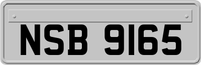 NSB9165