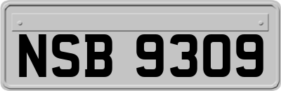 NSB9309