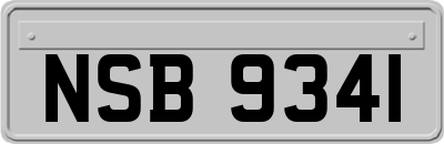 NSB9341