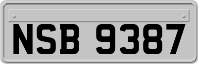NSB9387