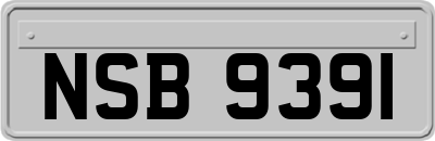 NSB9391