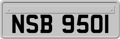 NSB9501