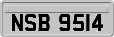 NSB9514