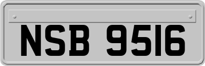 NSB9516