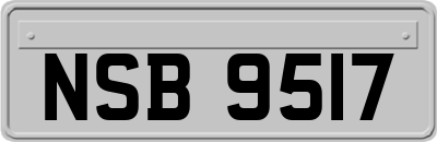 NSB9517