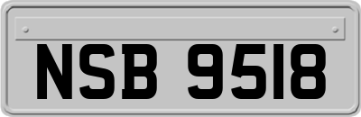 NSB9518