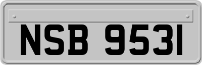 NSB9531