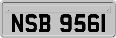 NSB9561