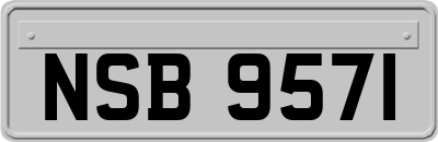 NSB9571