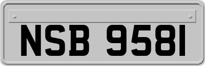 NSB9581