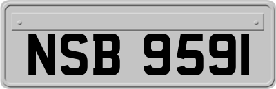 NSB9591