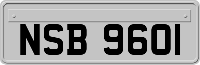 NSB9601