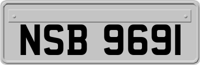 NSB9691