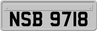 NSB9718