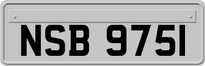 NSB9751