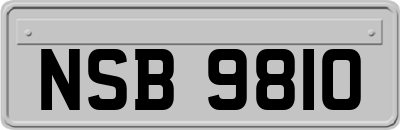 NSB9810