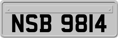 NSB9814