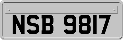 NSB9817