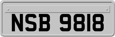 NSB9818