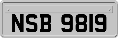 NSB9819