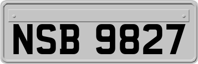 NSB9827
