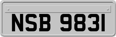 NSB9831