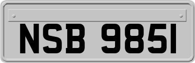 NSB9851