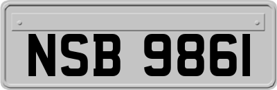 NSB9861