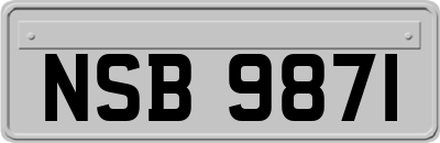 NSB9871