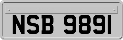 NSB9891