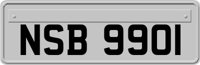 NSB9901