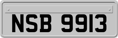 NSB9913