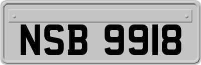 NSB9918