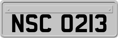 NSC0213