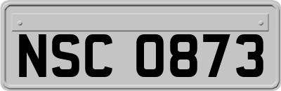 NSC0873