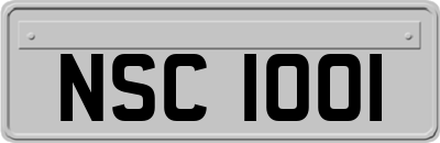 NSC1001