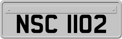 NSC1102