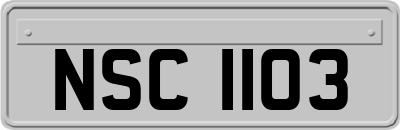 NSC1103