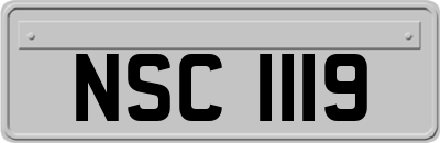 NSC1119