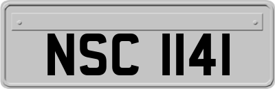 NSC1141