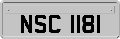 NSC1181