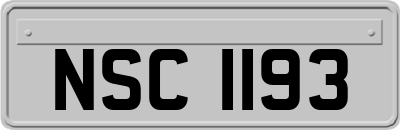 NSC1193