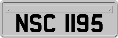 NSC1195