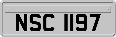 NSC1197