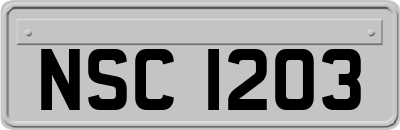 NSC1203