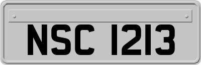 NSC1213