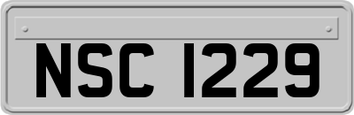 NSC1229