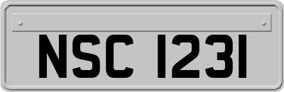 NSC1231